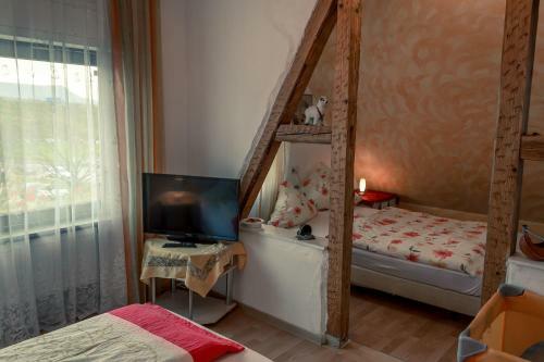 Hostal Hotel Adler