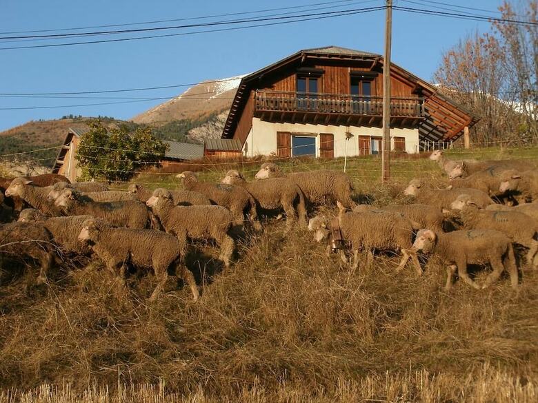 Bed & Breakfast La Ferme Des Buissons