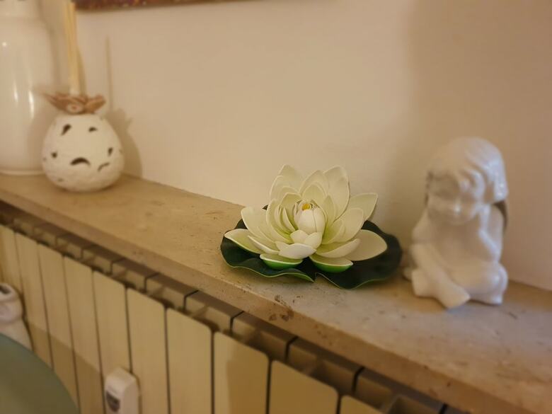Hotel Flowers Rooms