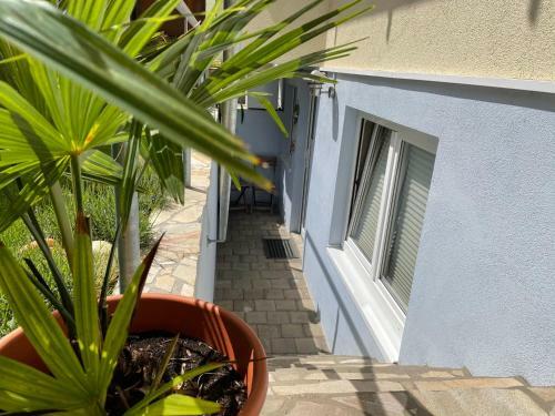 Hostal G�stehaus Stefan Koch