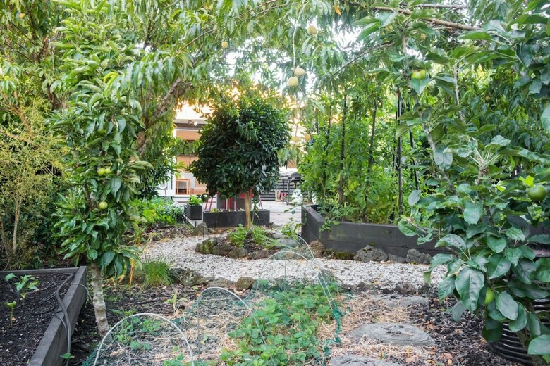 2 Bedroom Garden Oasis In Mount Eden