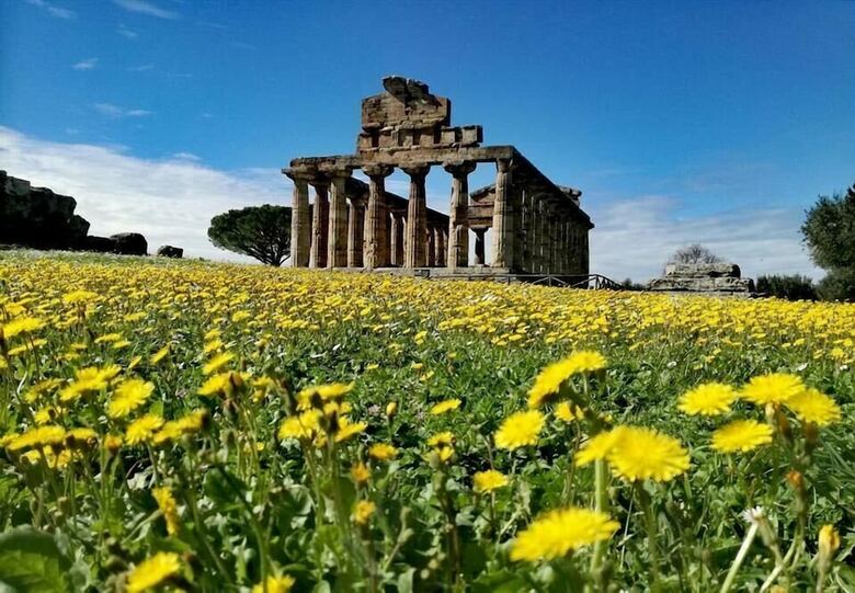 Apartamento Residenza Giancesare