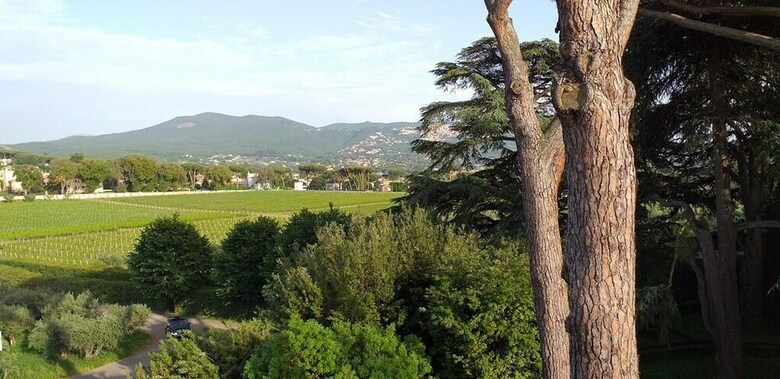 Agroturismo Villa Cavalletti Camere