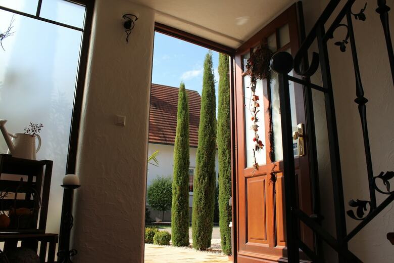 Apartamentos Pension Vanii