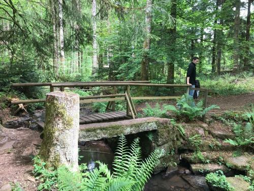 Landgasthof Hotel L�wen