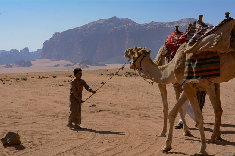 Wadi Rum Desert Colored Camp And Tours