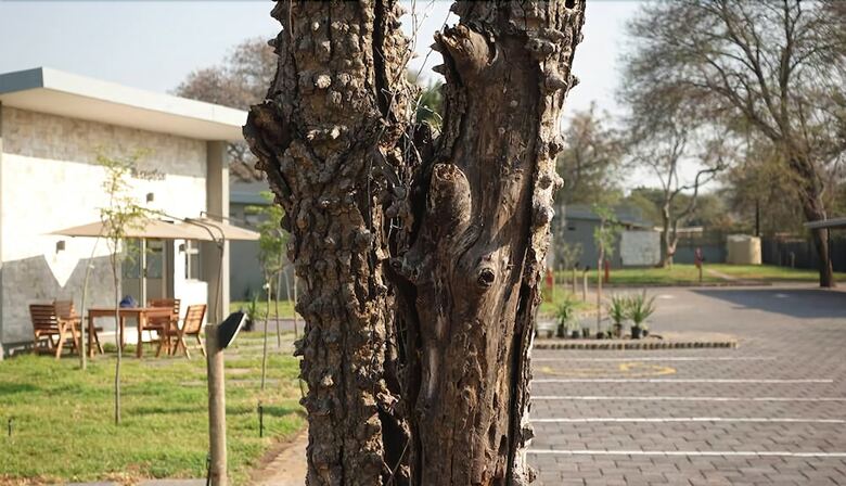 Posada Sandpiper Villas Chobe