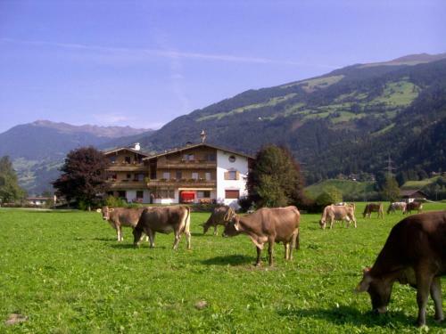 Hostal Klausnerhof
