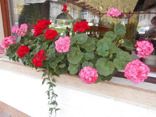 Apartamento Gasthaus Traube
