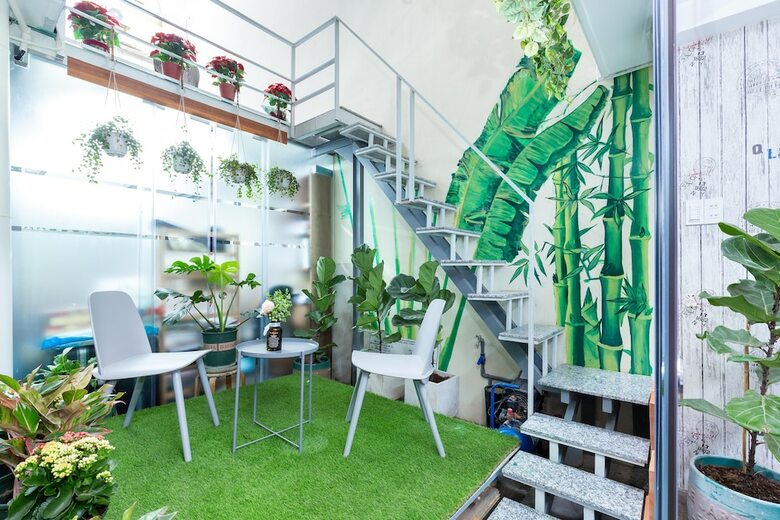 Apartamentos Cozrum Homes Dragon House