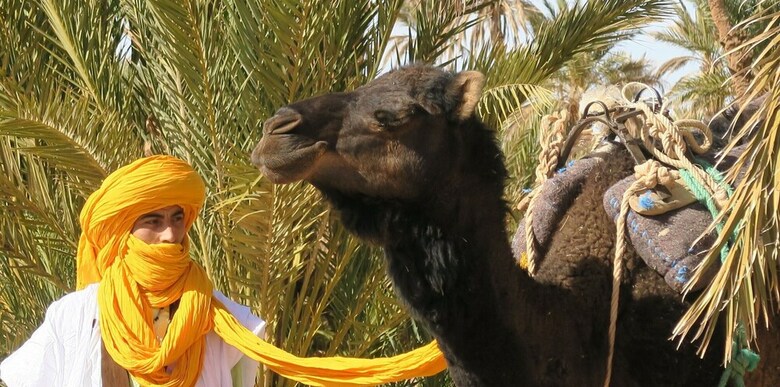 Bed & Breakfast L'oasis Berb�re