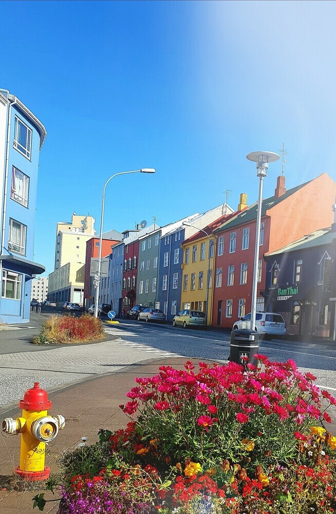 Apartamentos Reykjavik Center Condos
