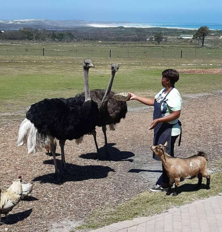 Agroturismo Groeneweide