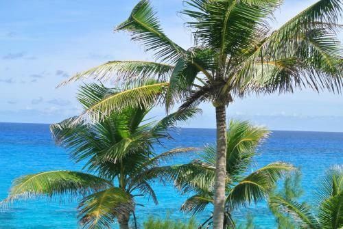 Hotel Stella Maris Resort Club