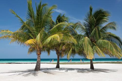 Hotel Royal Belize
