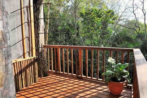 Hotel Mariposa Jungle Lodge