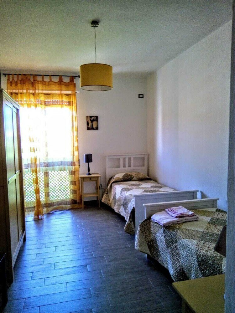 B&B Libellula