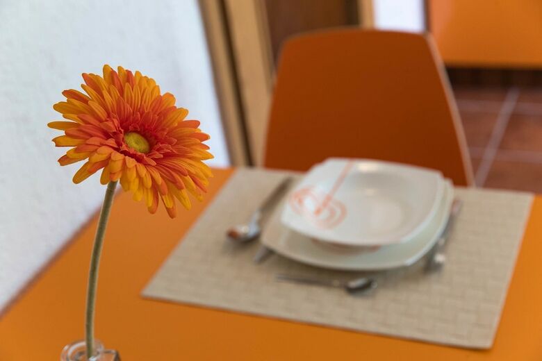 Apartments Jasna