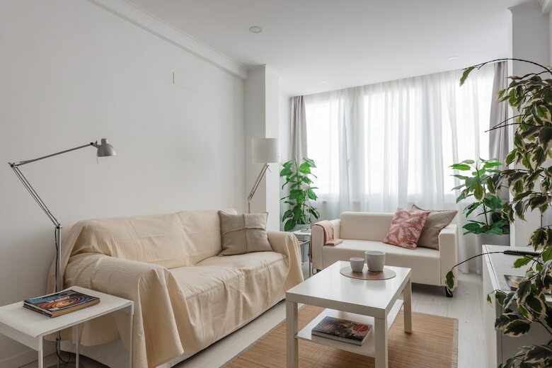 Light-filled Apartment, W/ Free Pick-up By Timecooler