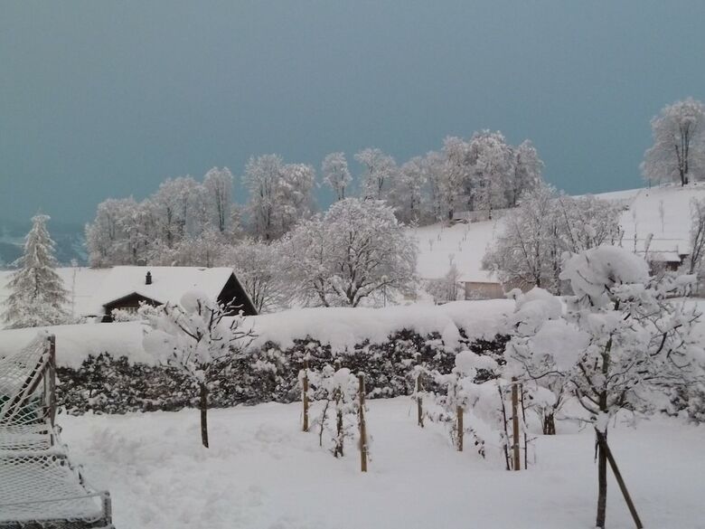 Pension Sunnmatt