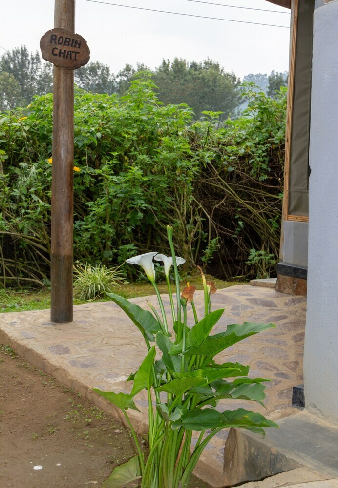 Posada Karungi Camp