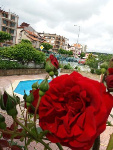 Alba Family Club Hotel