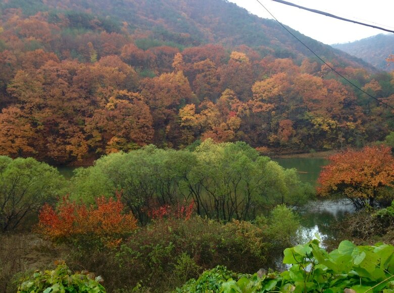 Yangsan Cozy Pension