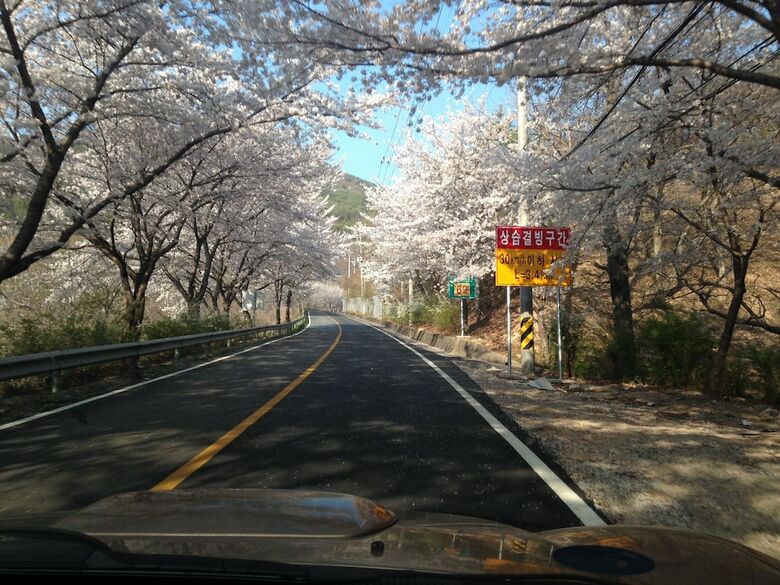 Yangsan Cozy Pension