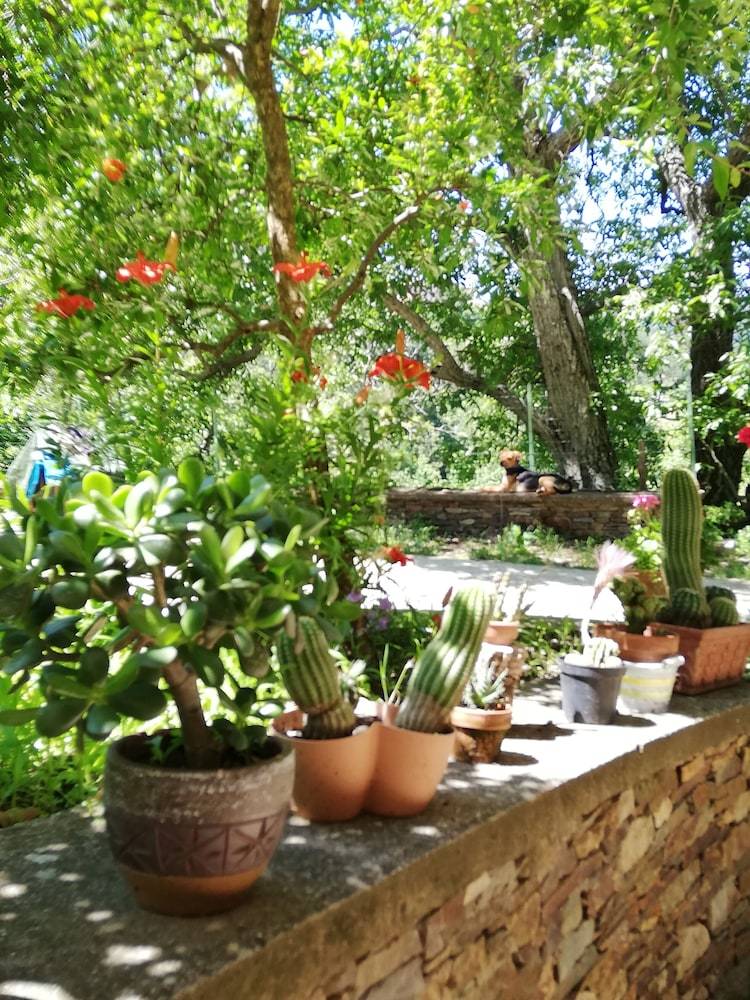 Bed & Breakfast L'agrifoglio