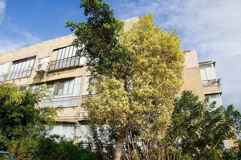 Gk Apartments Herzel 53