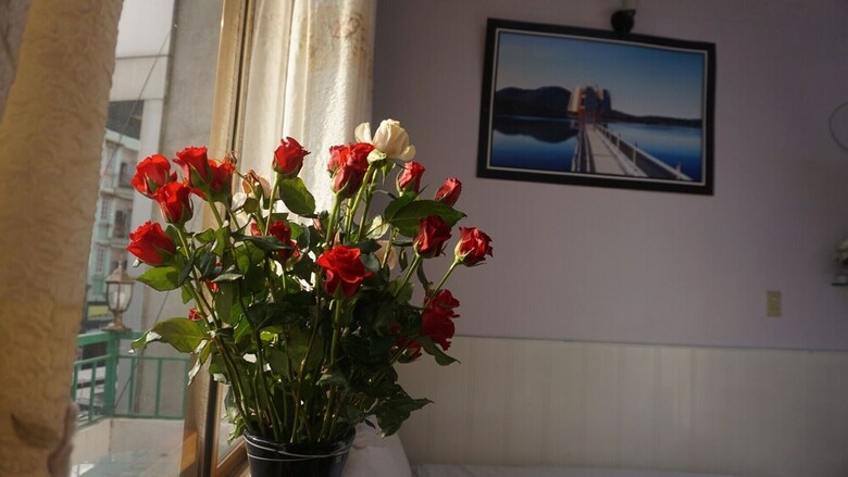 Hotel Green House Da Lat Phan Dinh Phung