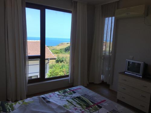 Apartment Veleka
