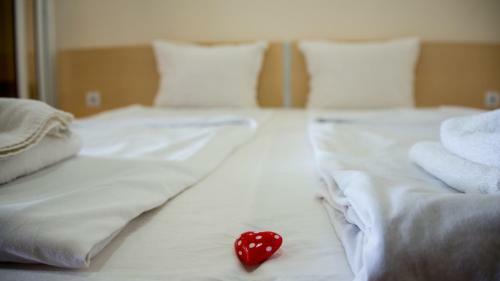 Apart Hotel Apolonia Palace
