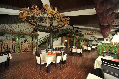 Hotel Melnik