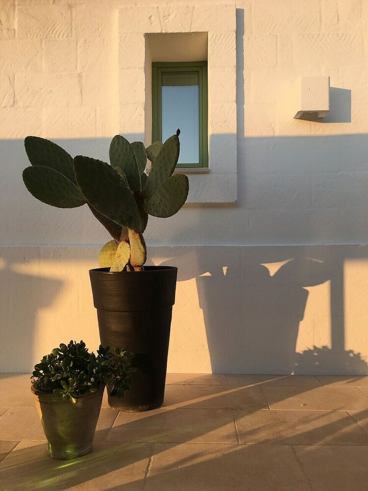 Agroturismo Masseria Sottomasi