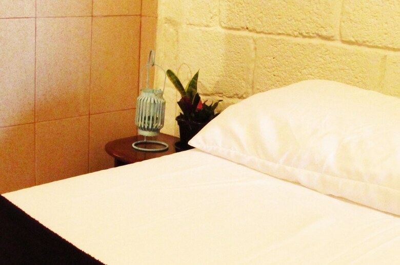 Hostal Buena Vista Hostel