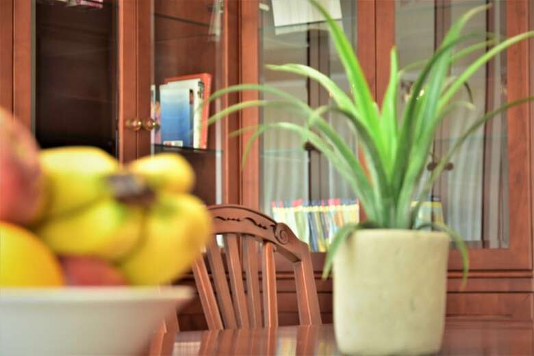 Vila Kljuce Apartments Bled