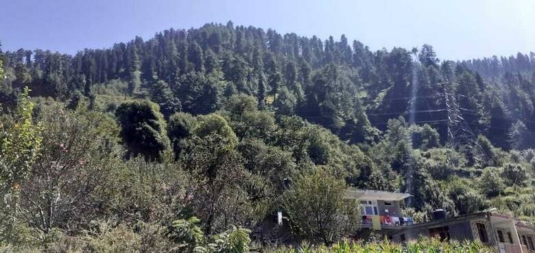 Hotel Himalayan Oak