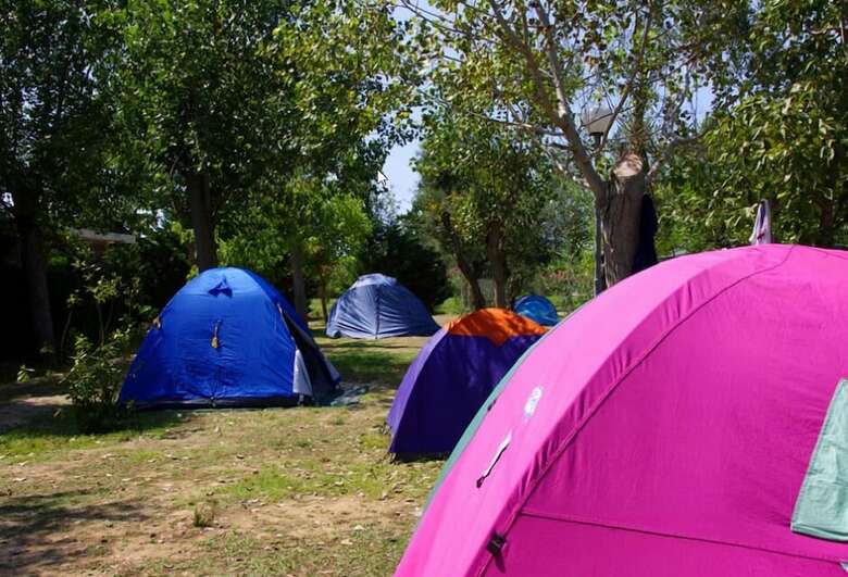 Camping Campo Al Fico