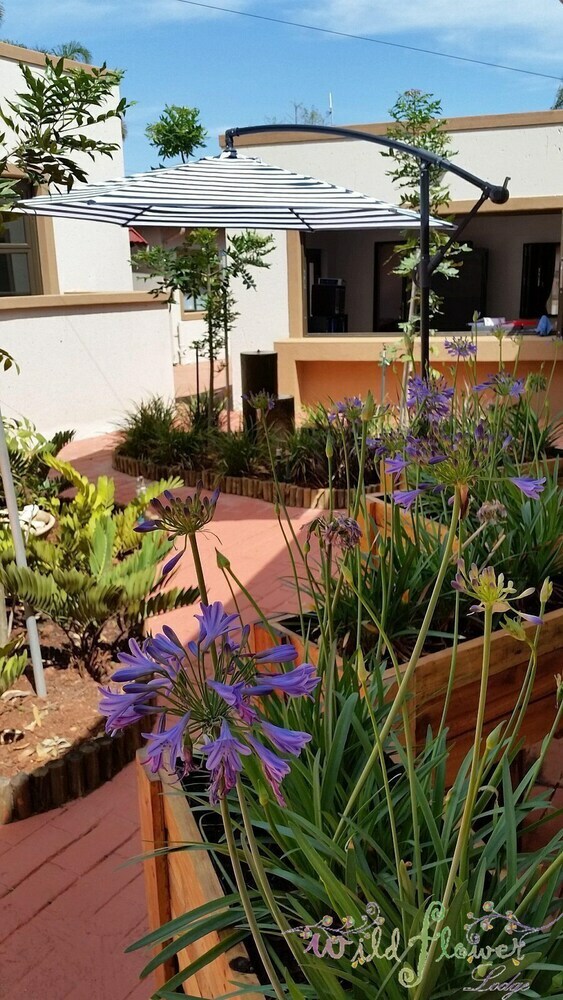 Posada Wildflower Lodge