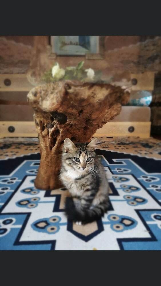 Hotel Riad Terracota
