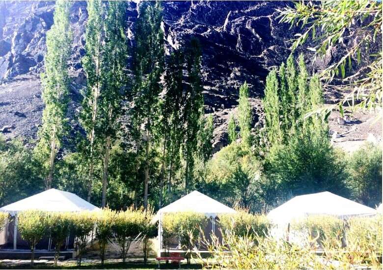 Tih Desert Oasis Camp - Hunder