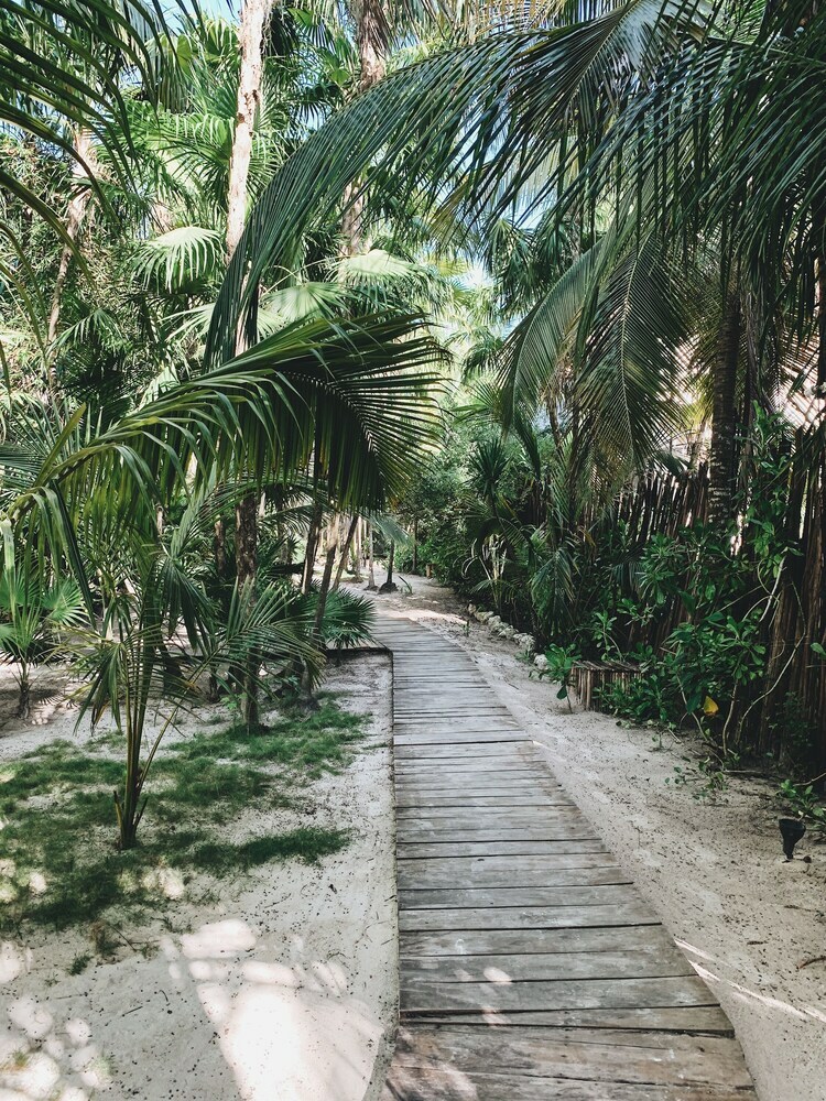 Hotel Locura Tulum-adults Only