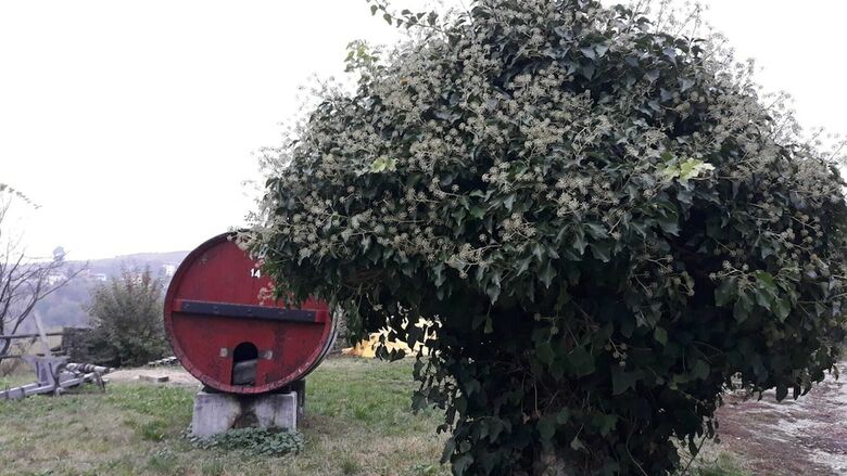Agroturismo Cascina Binelli
