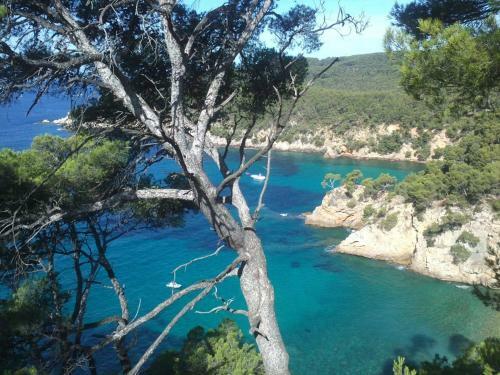 Apartamento Cassis Paradise