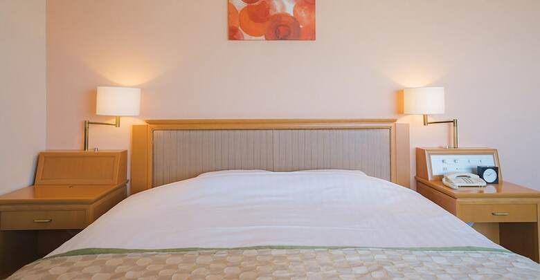 Jr Hotel Clement Tokushima