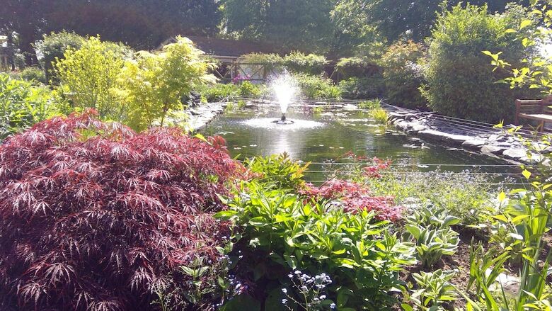 Drinkstone Park Bed & Breakfast And Gardens