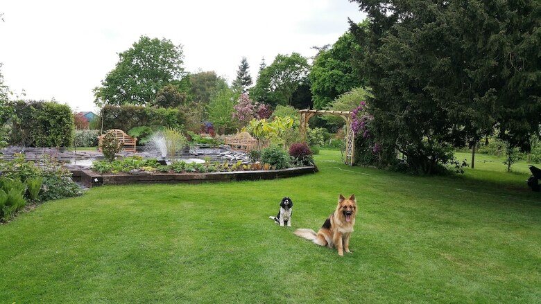 Drinkstone Park Bed & Breakfast And Gardens