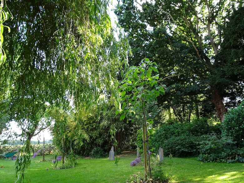 Drinkstone Park Bed & Breakfast And Gardens