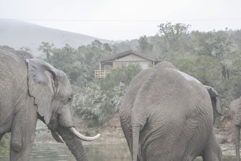 Posada Barefoot Addo Elephant Lodge
